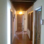 Laureles 2* Luanco