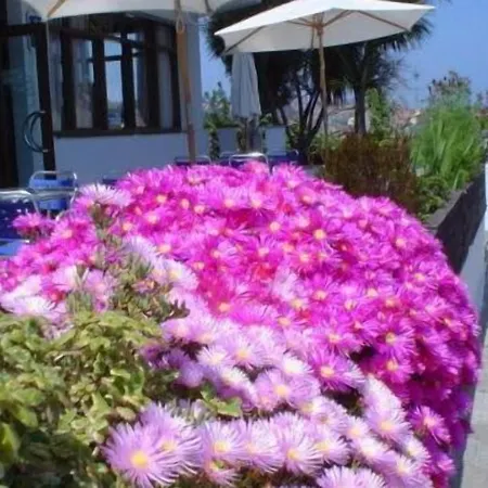 Laureles Hotel